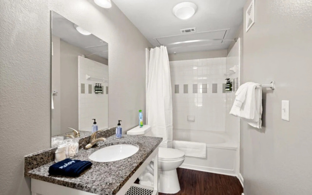 Plano Executive 1BD 1BA Apartment