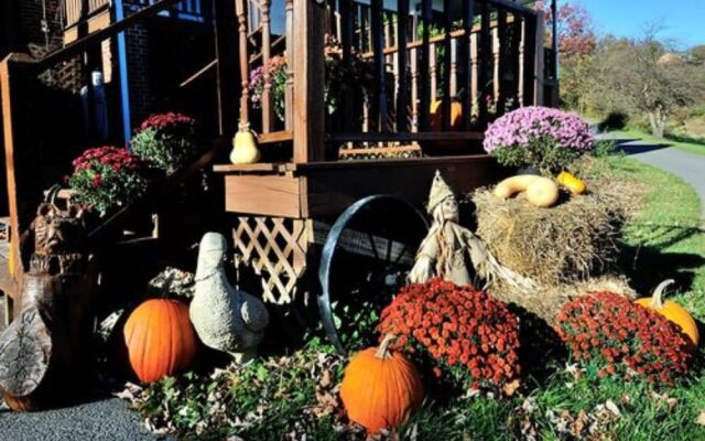 Haley Farm Bed & Breakfast