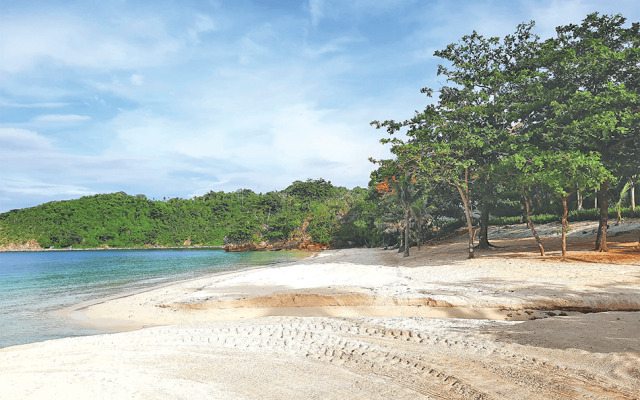 Cocotel Penthouse 8 Colors