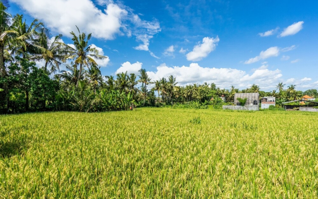 Kutus Kutus Saba Beach Villas