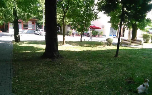 Soba Centar