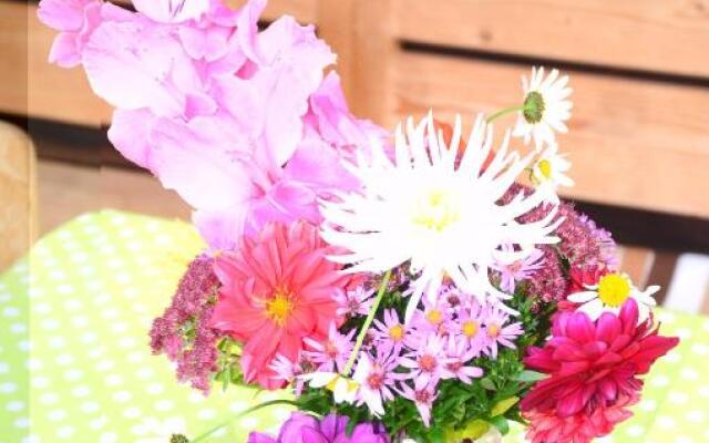 Ferienhaus Schett Paula