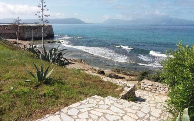Nestor Sea Studio