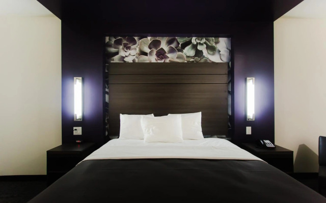 Palacio Royale Inn Boutique Katy