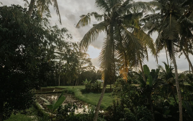 Uma Lys Villa Ubud