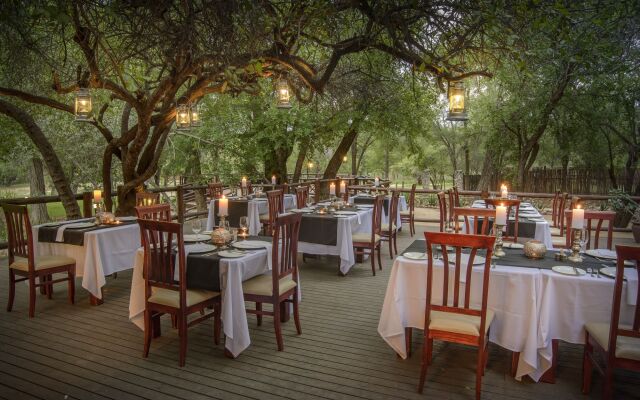 Karongwe- Shiduli Safari Lodge