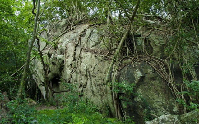 Occidental Paradise Dambulla