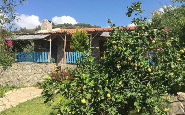 Koy Evi Apart