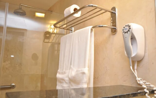 Hotel Plaza Meru