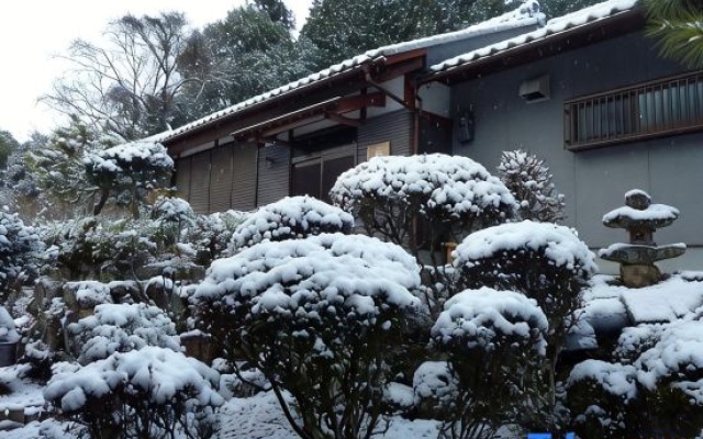 BOB's House