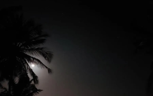 Coco Pontall Bangalôs