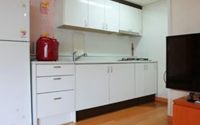 Daeseong-ri Clean Hangang Camp Pension