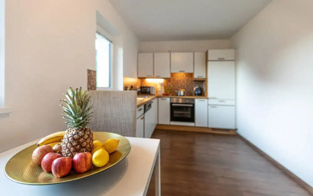 Tevini Alpine Apartments - Schmittenblick