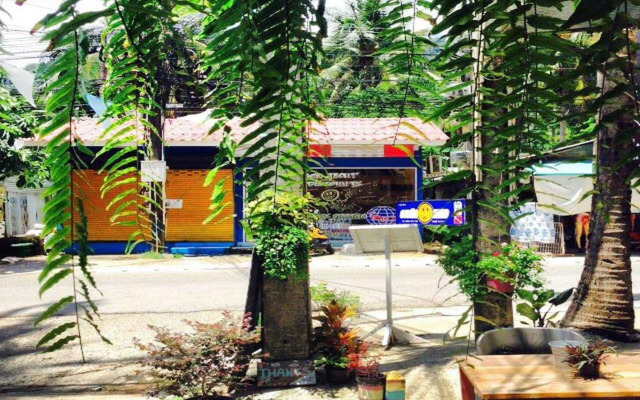 Sleepy Owl Hostel