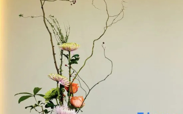 The Hidden House Hotel(Chengdu Chunxi Road Luomashi Subway Station)