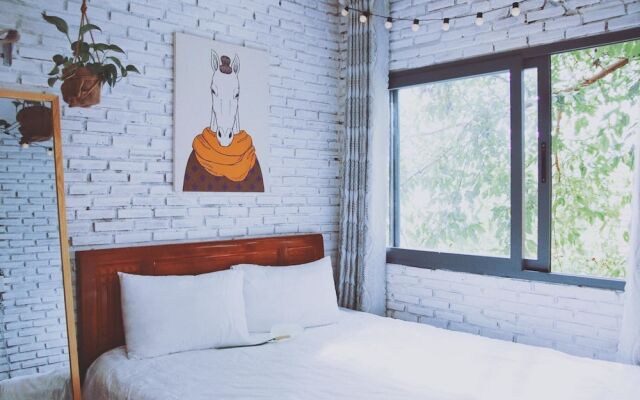 Mint Haus