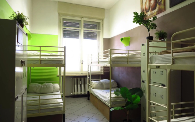 Koala Hostel
