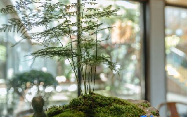 Luyue Gourmet Meisu (Beijing Water Great Wall)