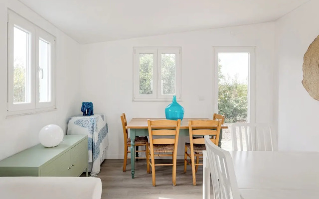 Pinhal da Praia em Melides