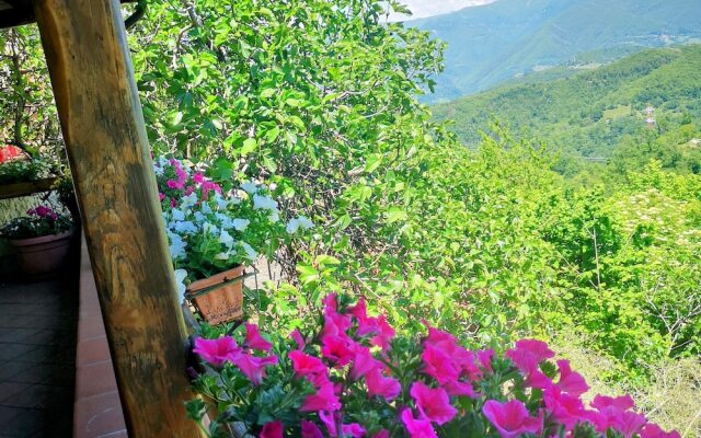 Holiday Apartment Ulivella Tuscany Garfagnana