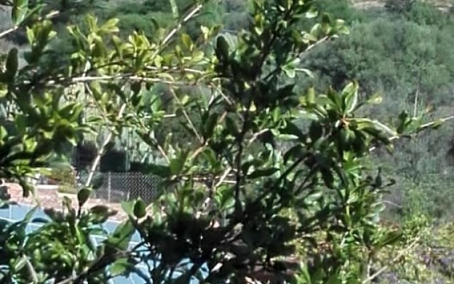 B&B Il melograno