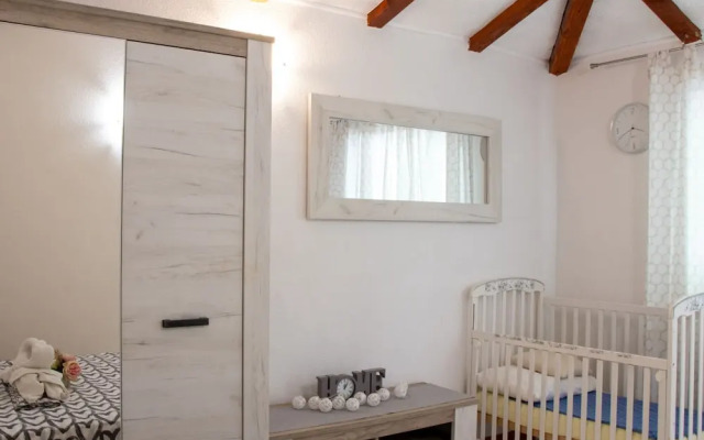 Authentic Dalmatian Treasure Homes