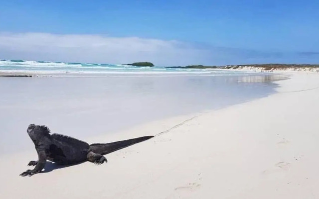Hotel Palace Galapagos