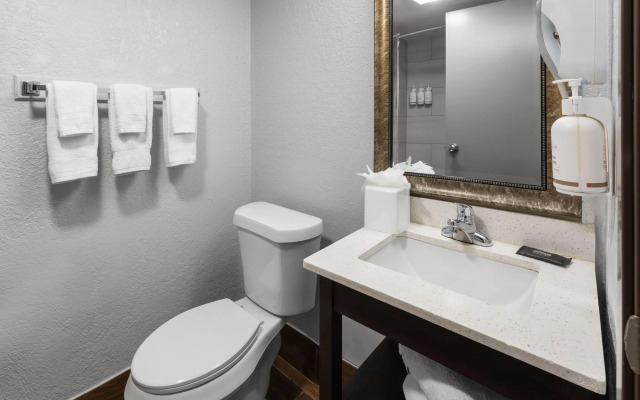 Baymont by Wyndham Downtown Detroit