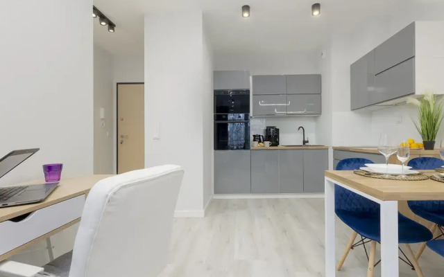 Dark Blue and Grey Apartment by Renters
