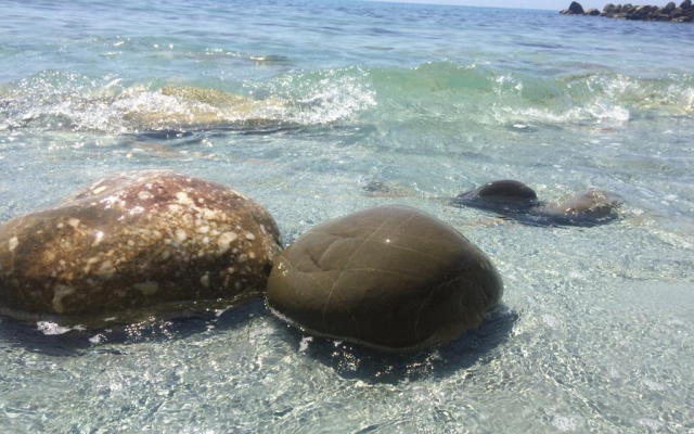 Guest House on Magnitogorskaya 13/104