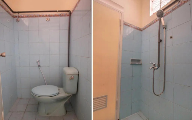 SPOT ON 3218 Bee Palm Family