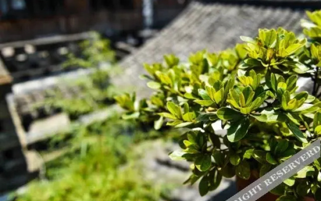 Yijia Hostel