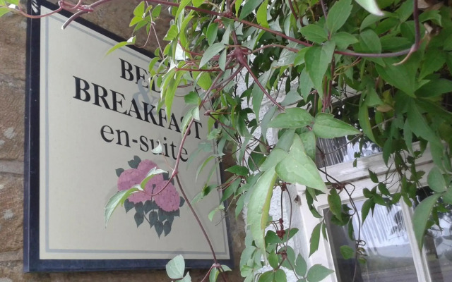 Thorpe Green House Vegetarian Bed and Breakfast