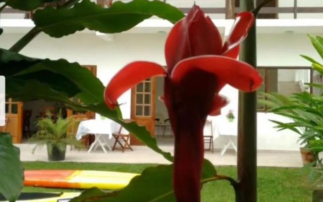Pousada Ubatuba Itaguá
