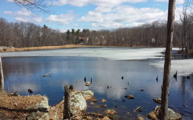 The Spice of the Poconosemai