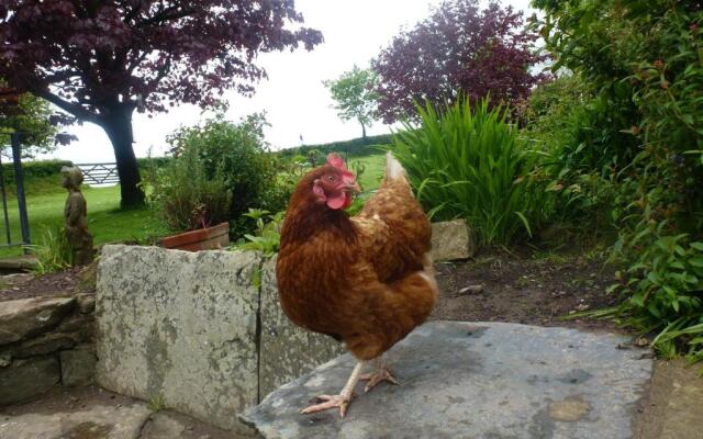 Kidwelly Farmhouse