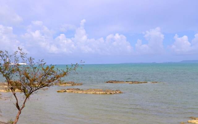 Sea You Soon
