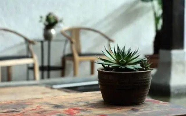 Maomaocool Traveling with Hotel Santa