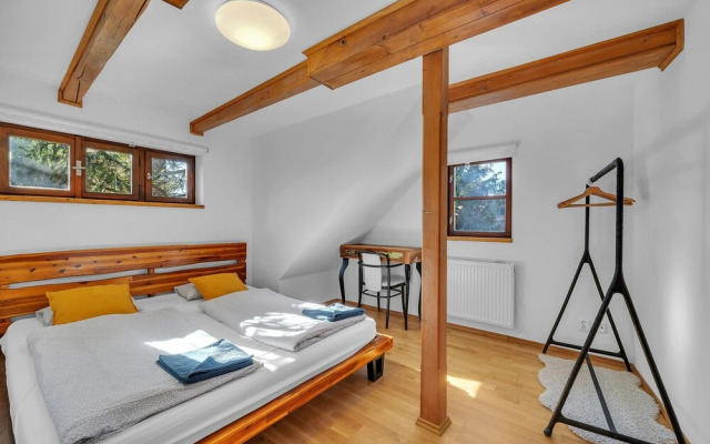 Villa in Dolni Branna With Sauna