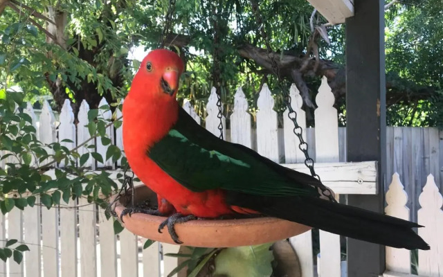 Courtyard Cottage Healesville, Close To Everything