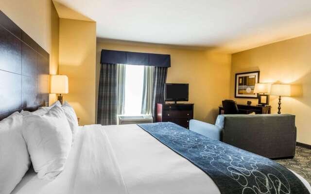 Comfort Suites Pell City I-20 exit 158