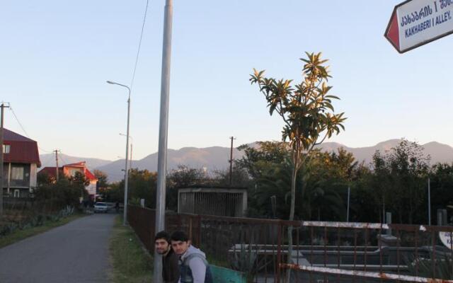 Guest House Kakhaberi 3
