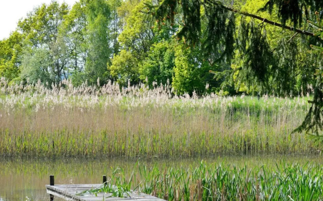 Evening sun Modern Retreat