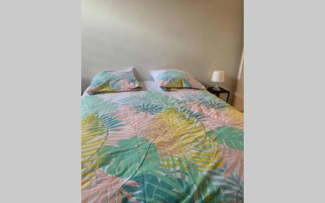 Grand Et Joli Appartement Centre De Douai D4