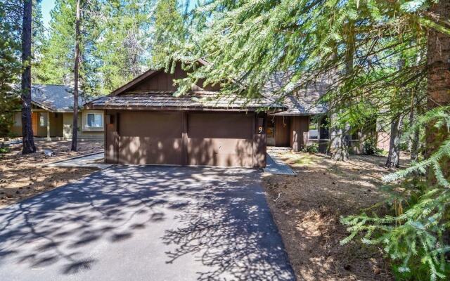 Conifer 9