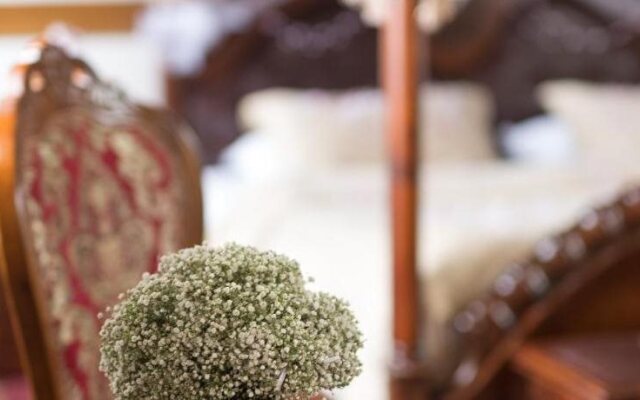 SPA Hotel Zámek Lužec