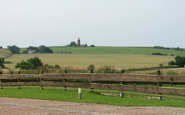 Comfy Apartment in Kühlungsborn near Town Center