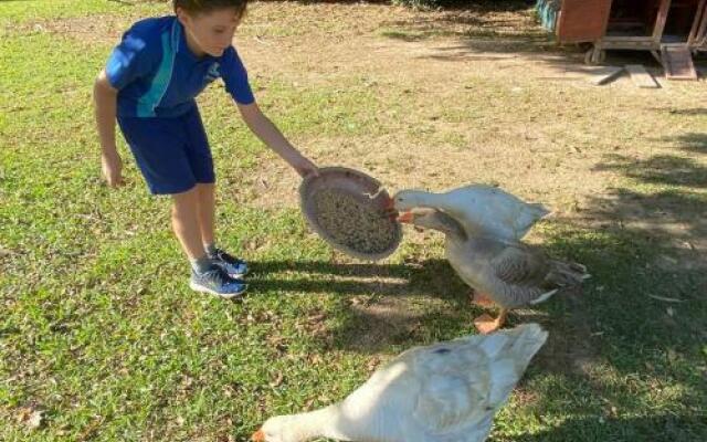 Pinbarren Green Lodges Noosa