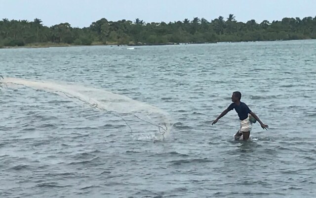 Reef Pasikudah