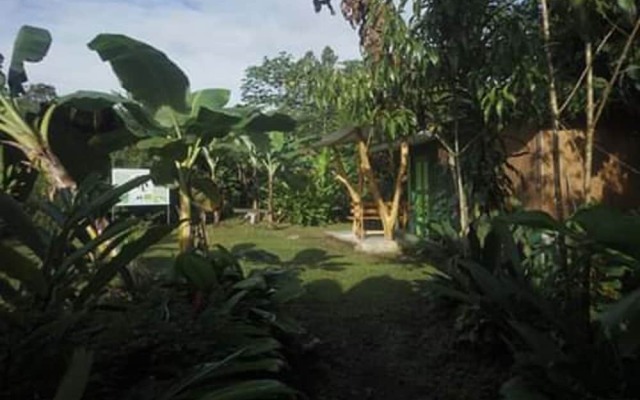 Rancho Verde de Osa